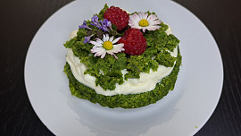 Mechový mugcake