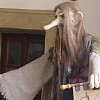 magdalenka